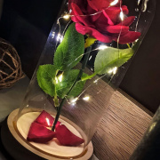 Świecąca róża w szklanym wazonie