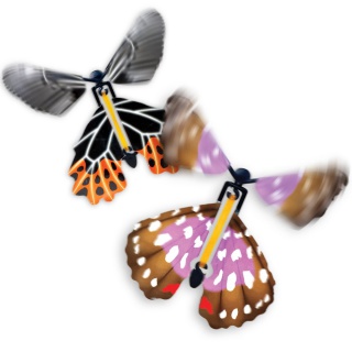 Latający motyl