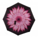 Odwrócony parasol - kwiat
