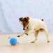 Ruchoma piłka dla zwierząt domowych