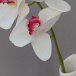 Sztuczne kwiaty orchidei - białe