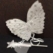 Kostium wróżki   - białe skrzydła i różdżka