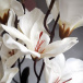 Sztuczne kwiaty do wazonu - białe