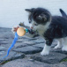 Gra dla kotów - piłka z dzwonkiem