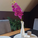 Sztuczne kwiaty orchidei - różowe